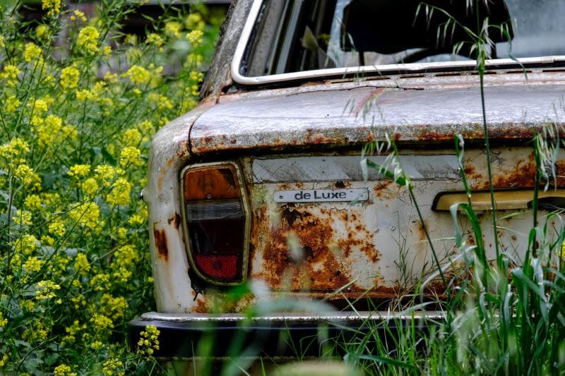 staršie hrdzavé auto, odstavené v poli, obrastené rastlinami